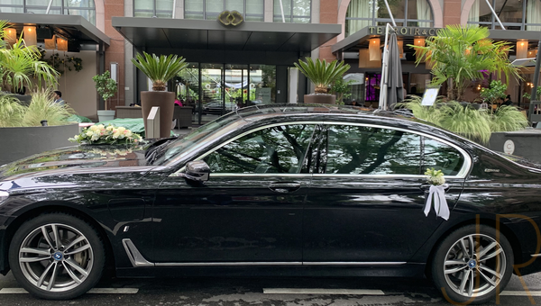 136f94cd e942 4afc b59c afa8828a96b5 m