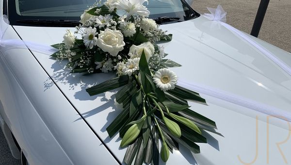 1a5668a1 1301 4aa9 a40d a7495a8570a7 m