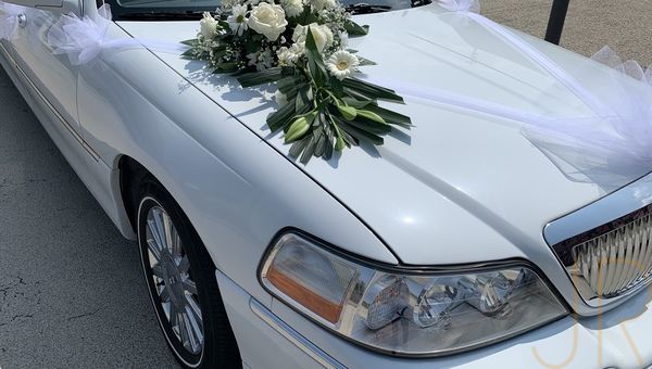 Bc3af701 5ad1 4a4a 8ce9 57bd77ab4390 m