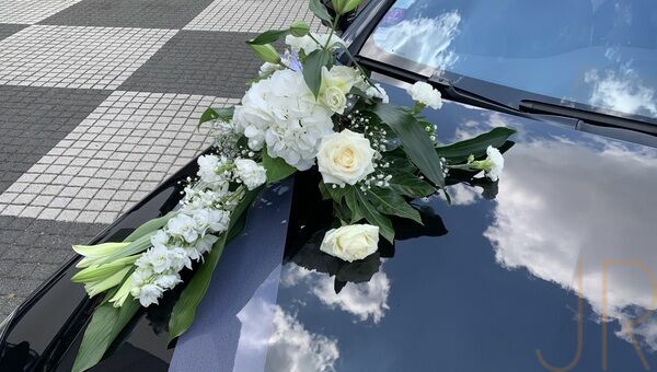 D0a8de7d ee47 4602 bb0c 2767ceb56cd5 m