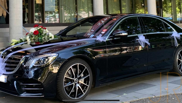 8ecfd2e6 13bc 4847 a5b2 7055b98bb712 m