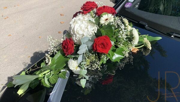 6348fdcc 2458 4f2e ad28 33fd45ae33b5 m